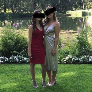 Silver Reformation Dress